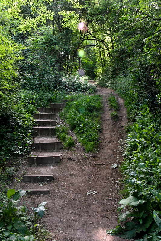 Colwick Woods St Anns Sneinton Colwick Nottstalgia Nottingham Forums
