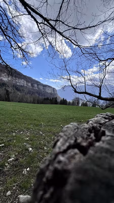 https://i.postimg.cc/5tj6vdLN/IMG-2967.avif