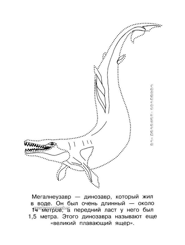 Megalneuzavr 37243