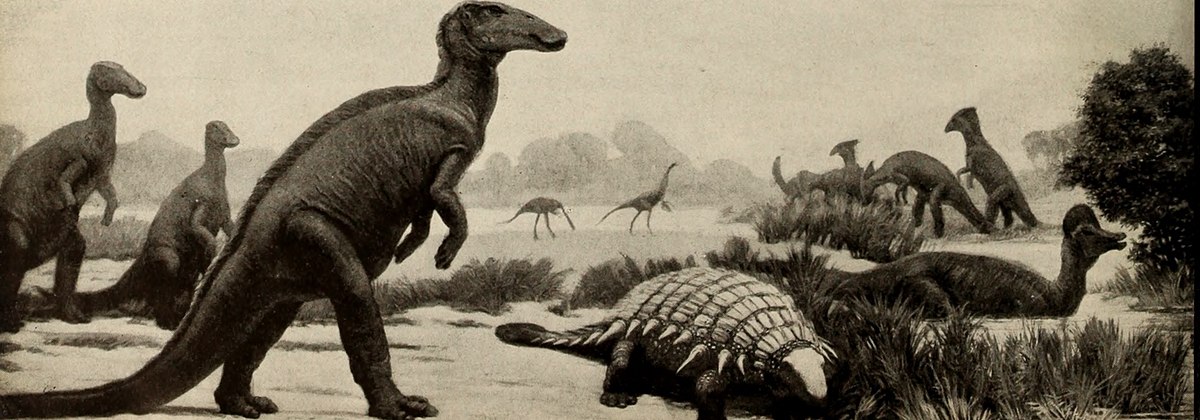 The_dinosaur_book_-_the_ruling_reptiles_and_their_relatives_(1951)_(20391869152)
