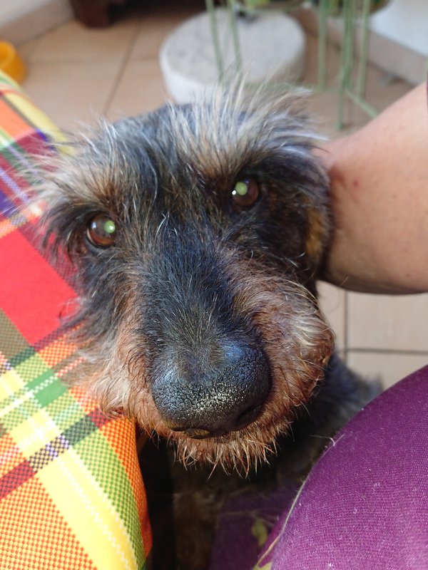 [Image: DSC-2689.jpg]