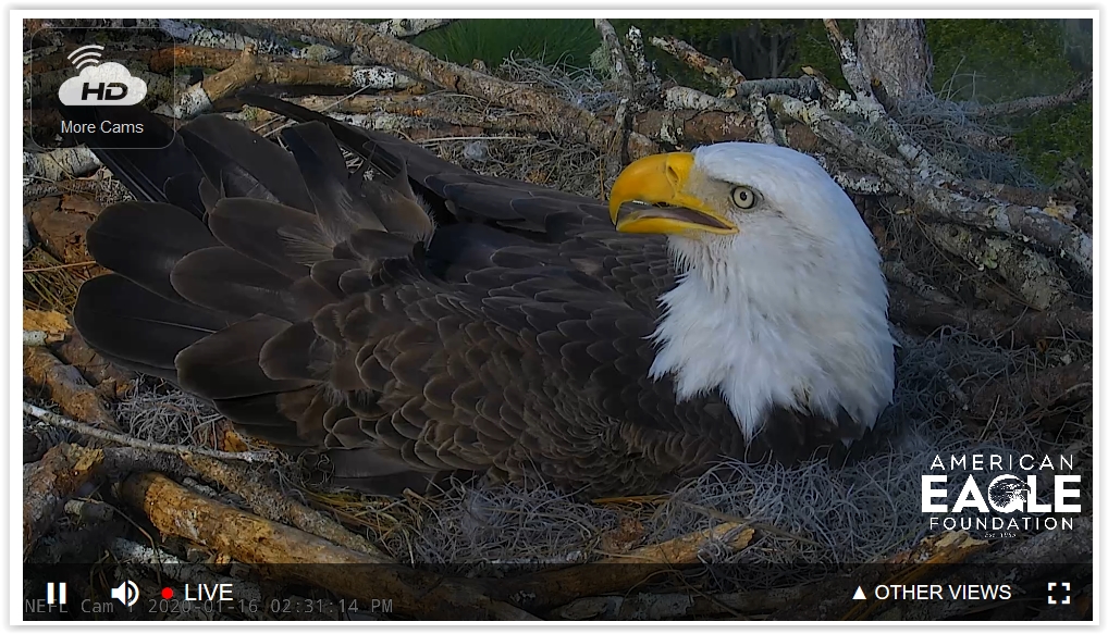 Screen Shot 01-16-20 at 08.32 PM