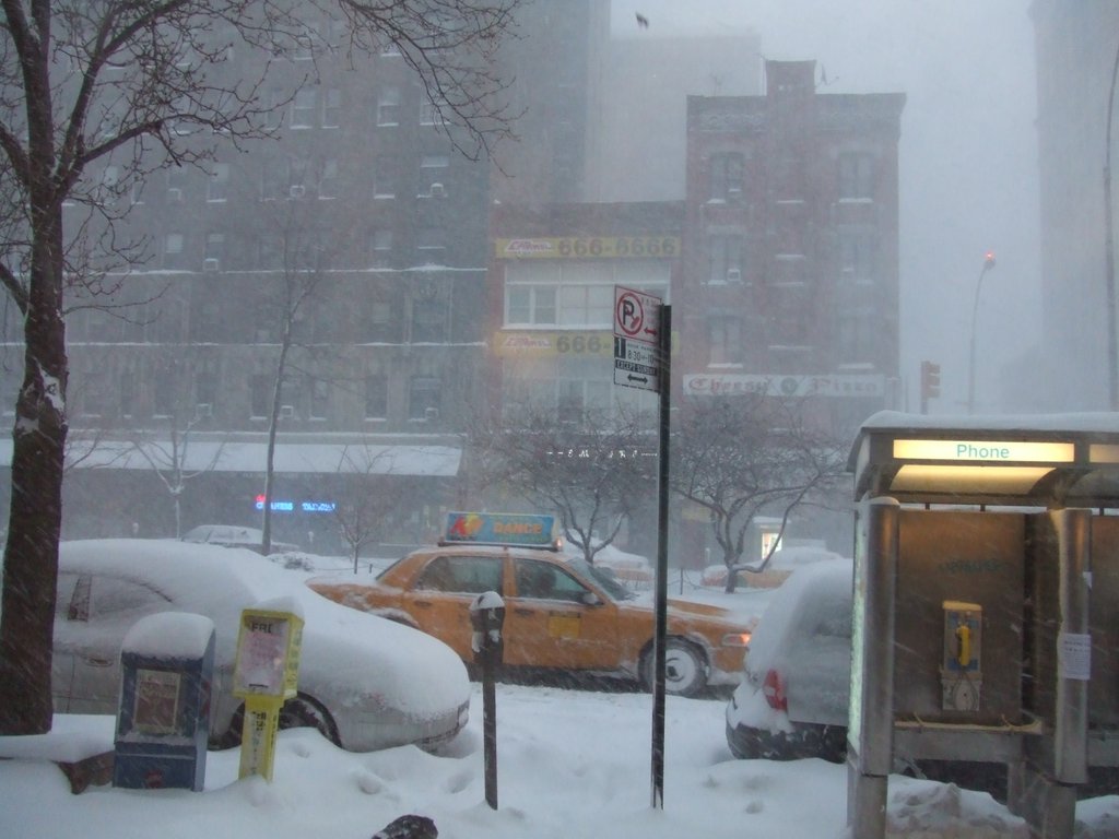 2006-0316-NY0118.jpg