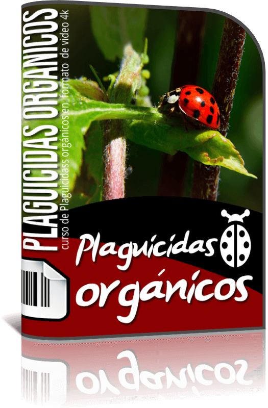 Curso Plaguicidas