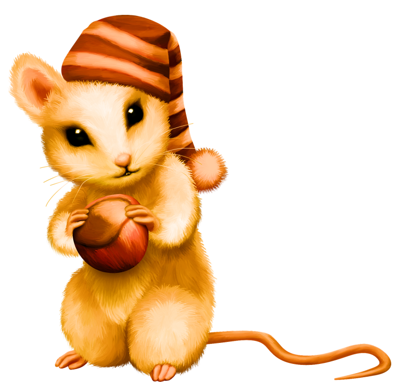 Pumpkinfairykitpudnsquirrel