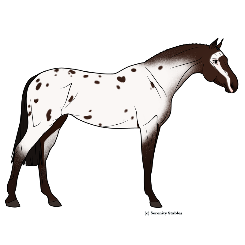 Untitled472-20240513190846.png