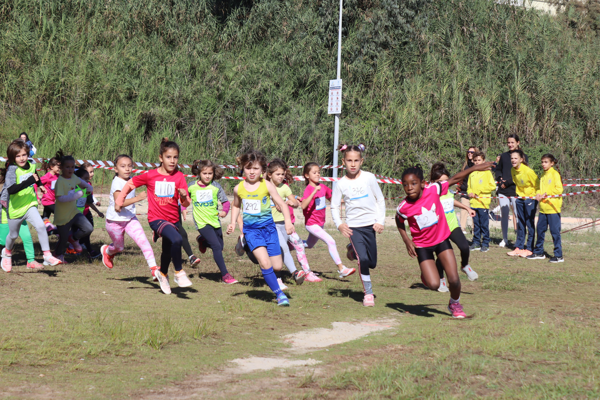 IMG-0565