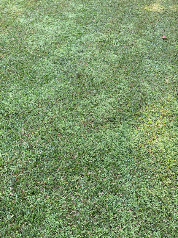 C6CA41B1-2E3C-4494-9B8B-52B8B5A76AB6