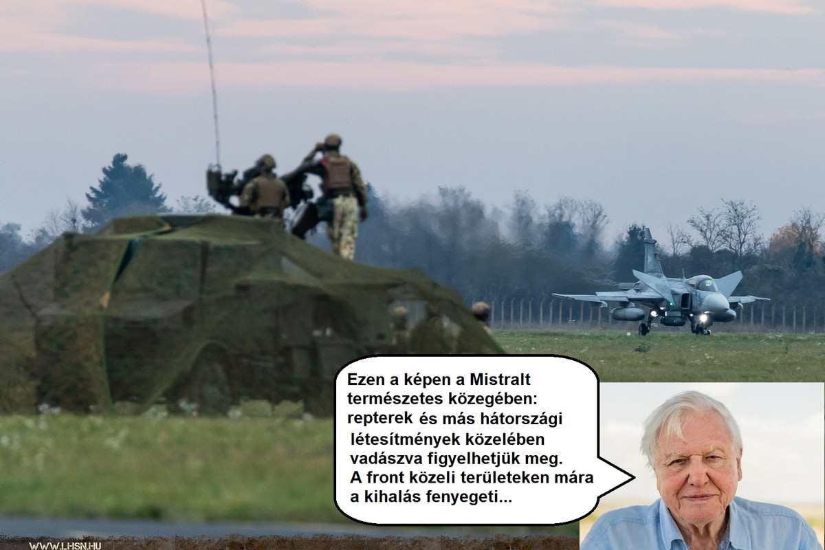 mistral-kecso-poen.jpg