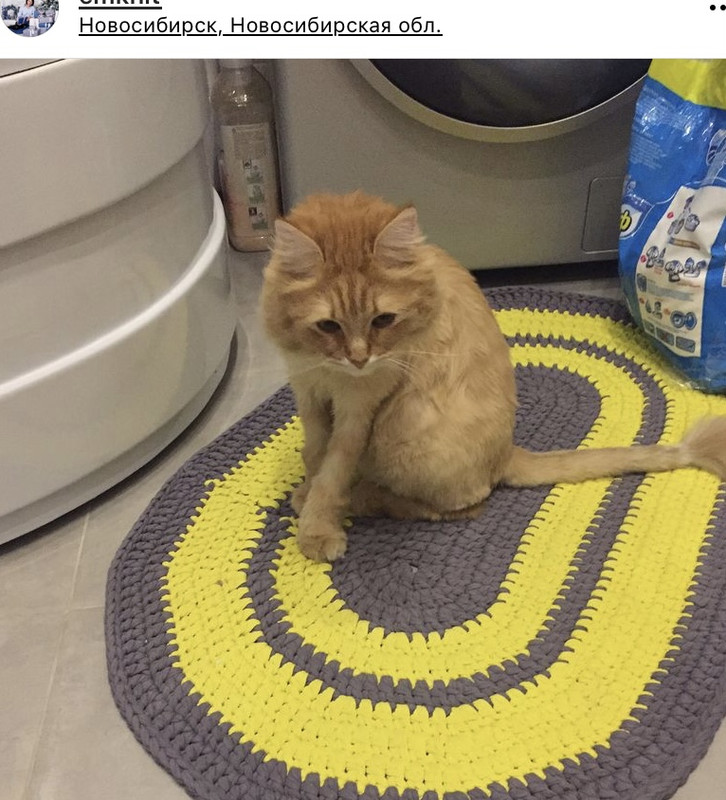 C2FF65AF-6263-4E1F-90A6-8BA1BAA200E8