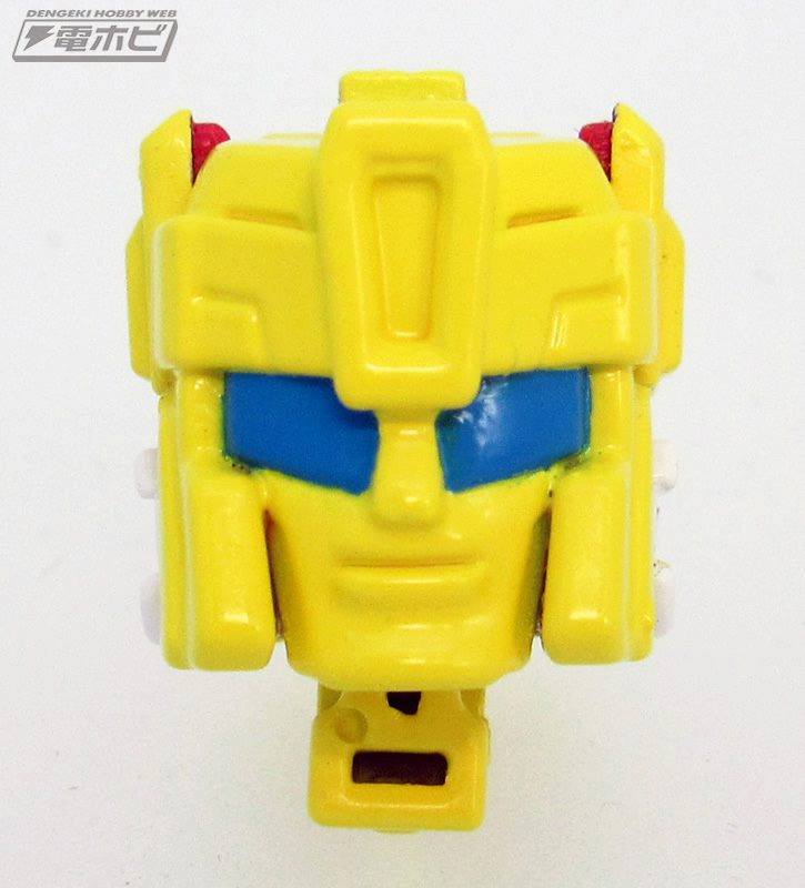 18342539_1346741065412299_5689233226502508828_n