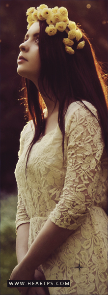 ���� ���� ������ �� ���� ������