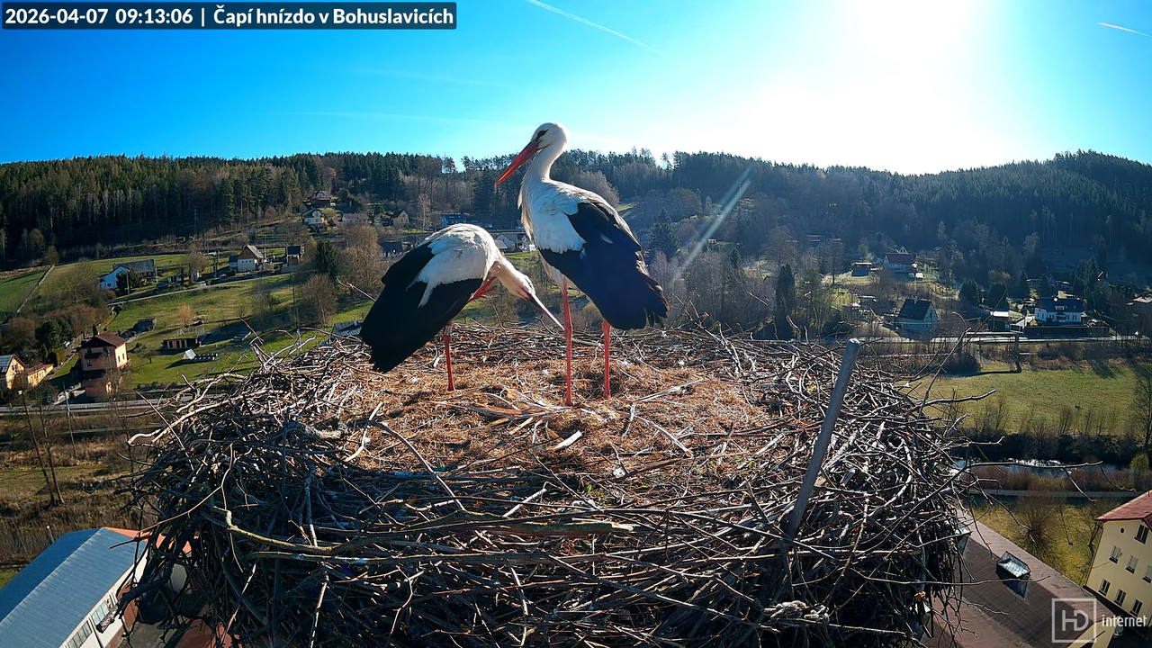 Živě z čapího komína firmy KARA v Bohuslavicích u Trutnova 10 19 18 screenshot (1)