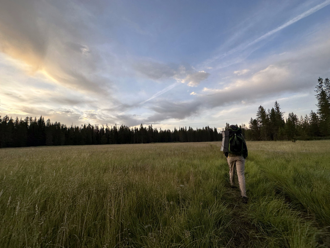 Meadow