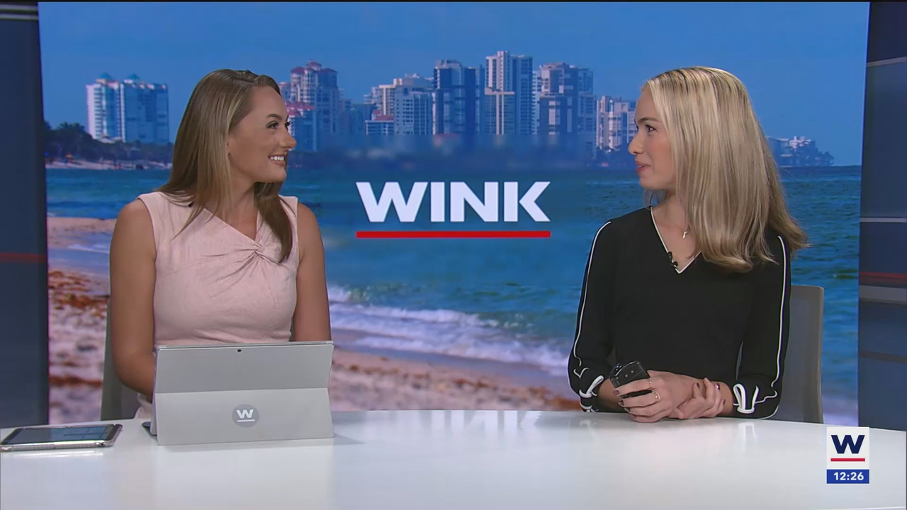08.13 - 17.00.00 - The WINK Noon News  ᴺᵉʷ. Midday news update..ts_snapshot_32.19.821