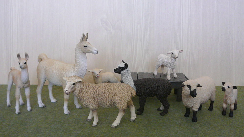 Mojö 2019 Llama and Cria- a walkaround by A.R.Garcia P1090699ed