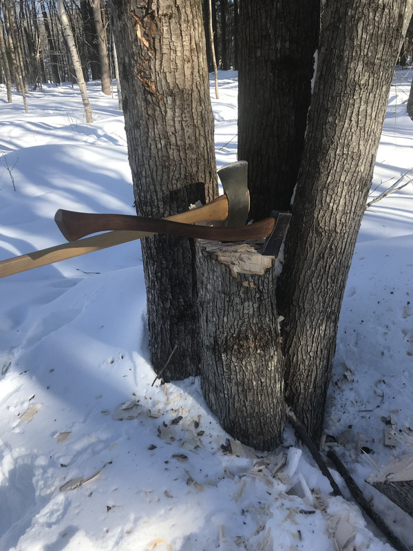 580F7D53-5D02-4419-BF47-C34D8CDD0B8F