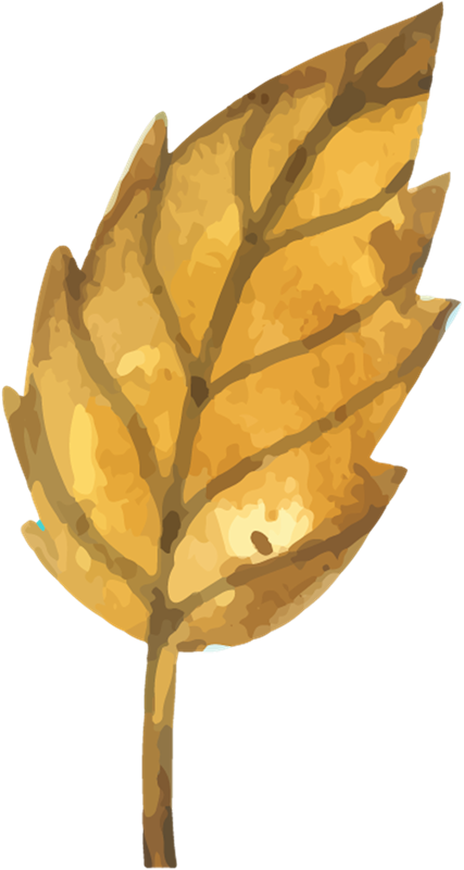 IPD_WP_Element (148)