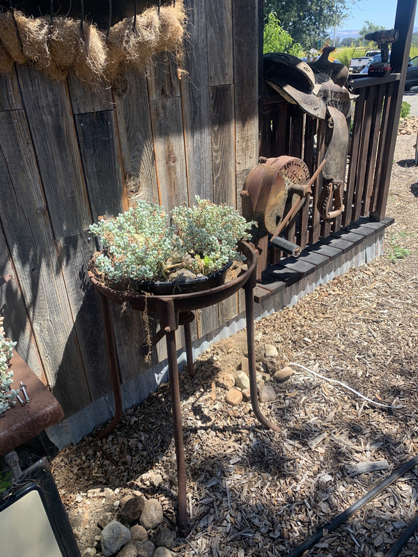 21FF3413-B267-46E8-9160-5CD283A9F86B