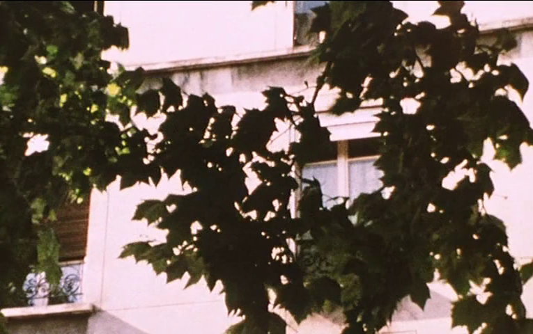 vlcsnap-2025-04-27-17h00m29s753