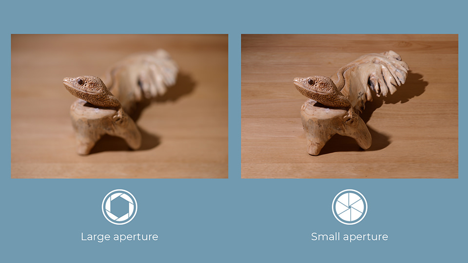 [Изображение: Depth-of-Field-Comparison-f4-vs-f32.jpg]