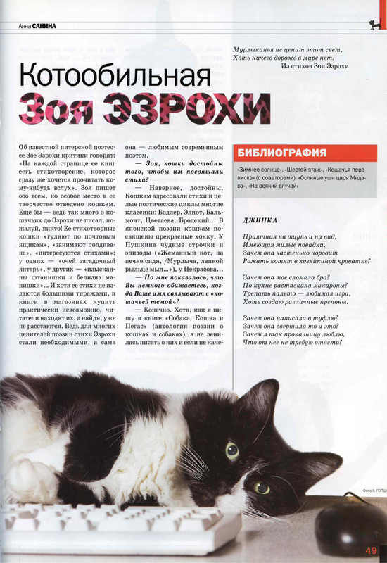 Друг кошек 2008-07-46