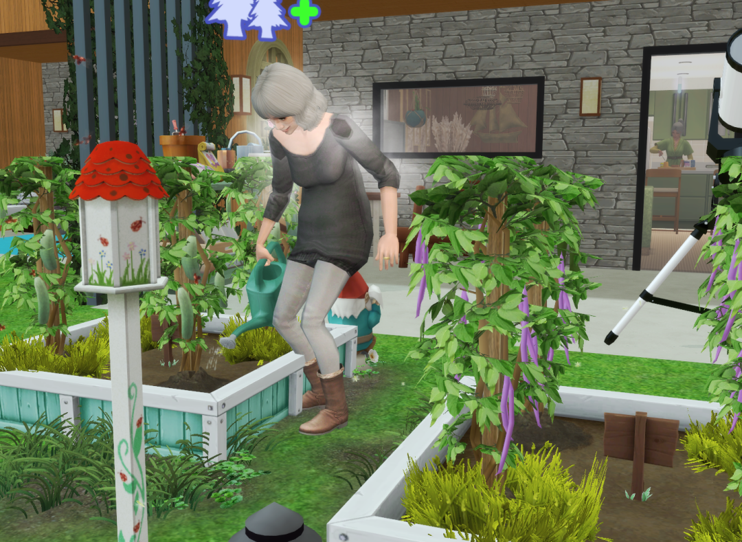 Sims2-EP9-RPC-2024-03-24-13-39-50-08