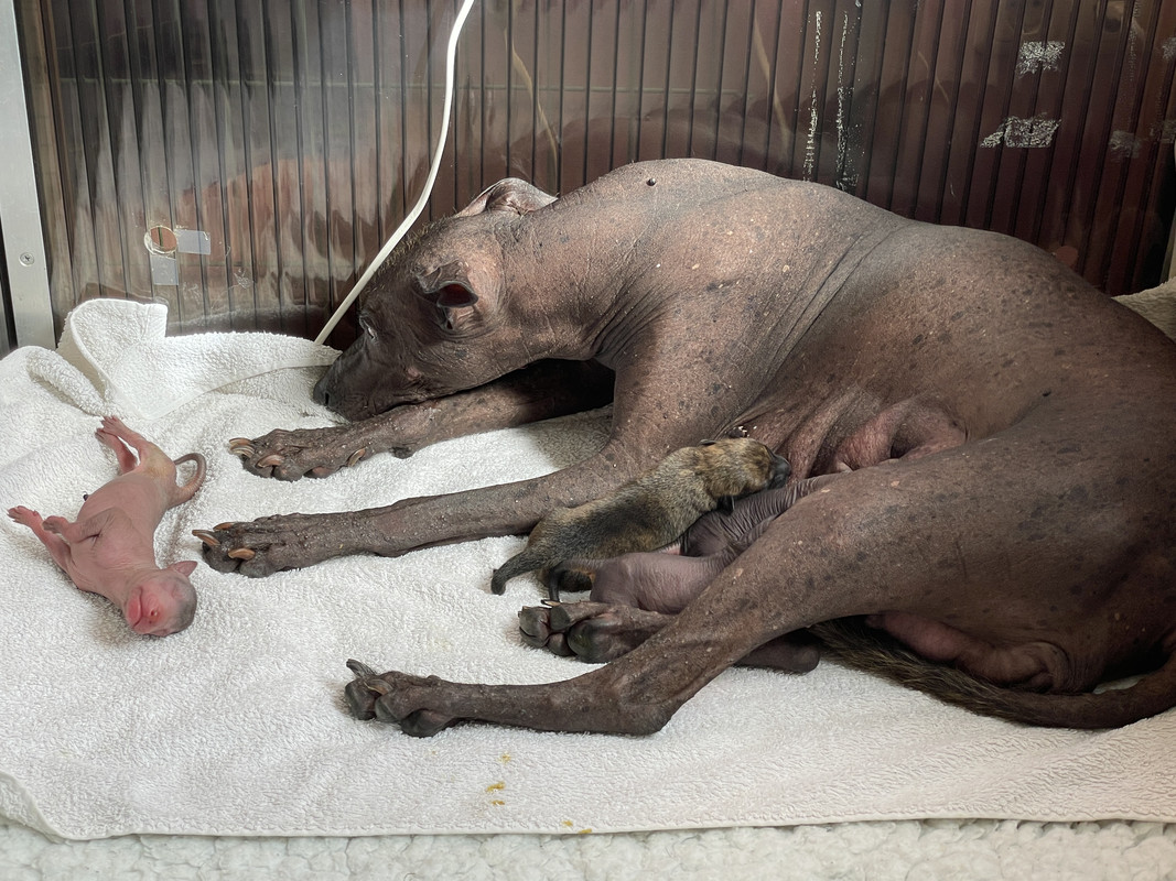 1BBB53AC-981B-4271-82D7-B4754C3C2208