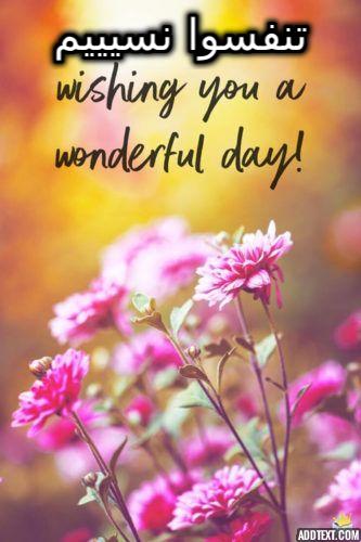 ���� ���� ������ �� ���� ������