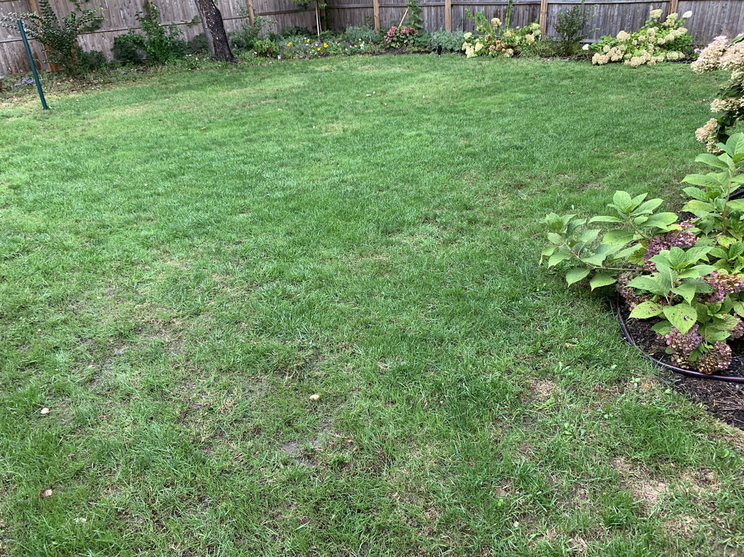 259B591F-1827-45CC-9BCC-141CD2D5D55D