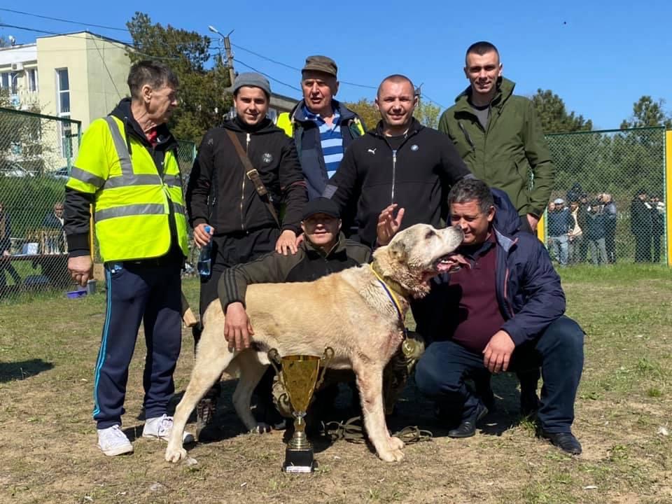 F4702477-DA0B-4E34-91D5-20F7FDECDBB8