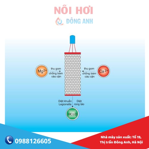 xử lý cáu cặn ewater