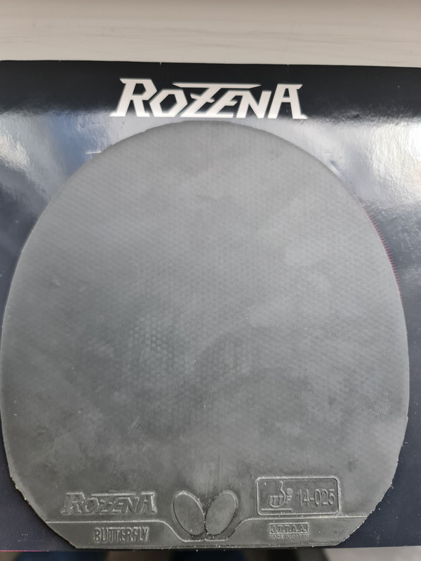 14. BTY ROZENA NEGRU 2.1 (2)