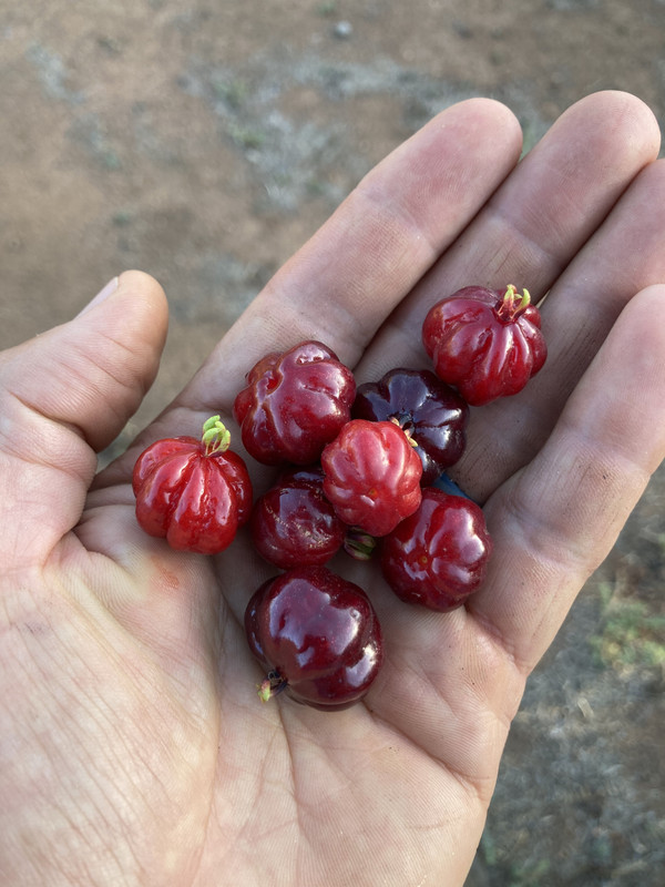 A6336C6E-1ABB-4122-8FFE-D46F4B46FD59