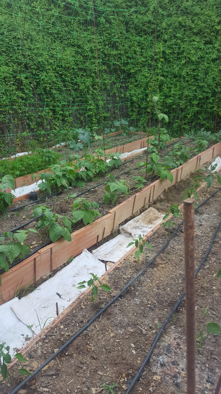 WhatsApp Image 2020-05-21 at 21.54.39 (1)