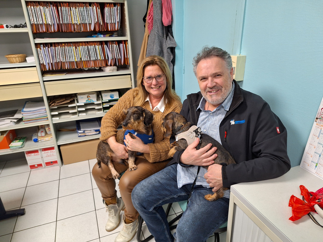 [Image: 20240126-180054.jpg]