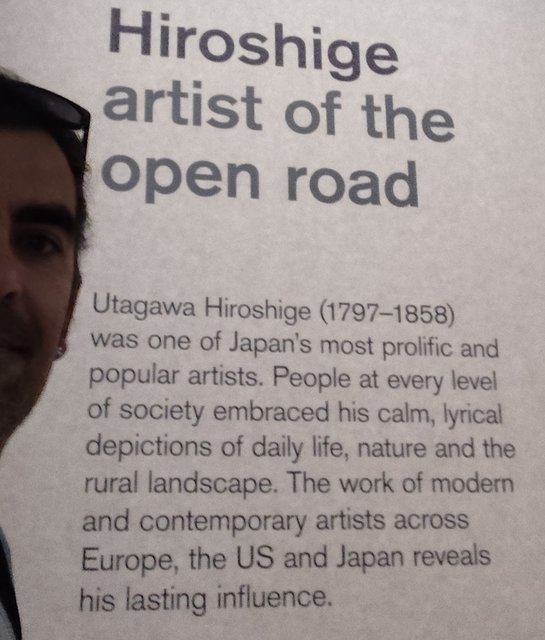 Escapada por Amsterdam - La Haya - Delft - Rotterdam - Leiden - Londres - Blogs de Europa - Londres: National Gallery, British con Hiroshige y King's gallery (67)