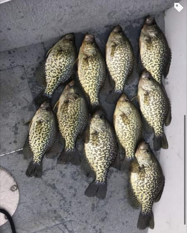 854A3CF5-B55B-4913-A3CE-8B044EC27570