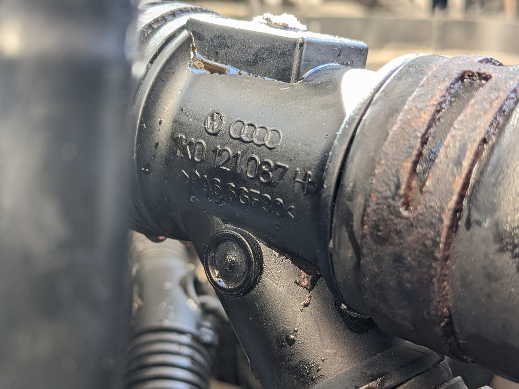 PXL_20230505_161912583 (1)