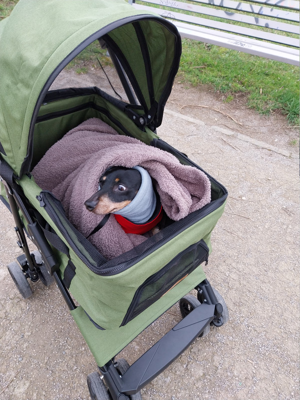 [Image: 20240205-130044.jpg]