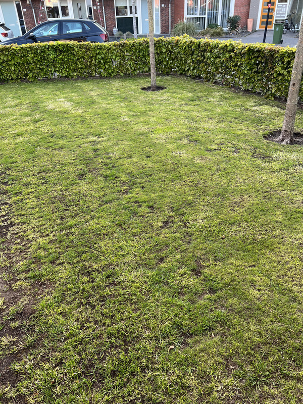 83A5CE87-E6AB-4503-9626-1A0BB9E7CA7D