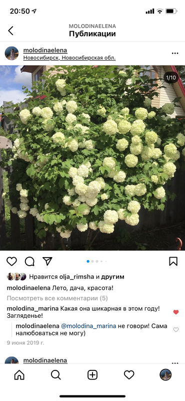 87E031D2-F569-4B50-9440-940CD7C60F48