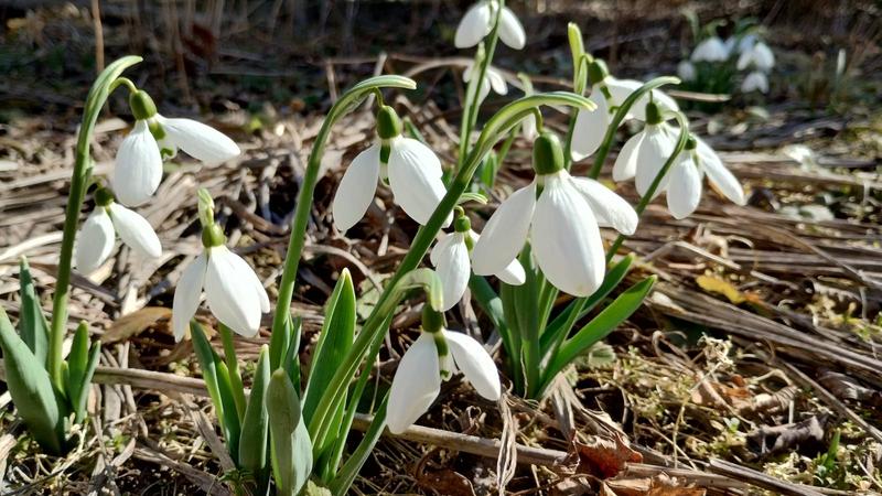 изображение viber 2026 03 06 14 42 53 267