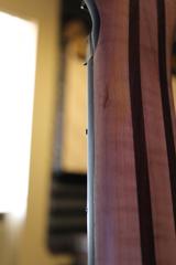 556021_574116622617041_1143457191_n