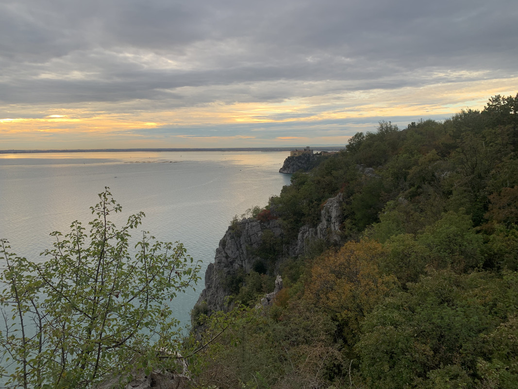 8AE035DA-AE82-4C0D-8183-C2760469CF53