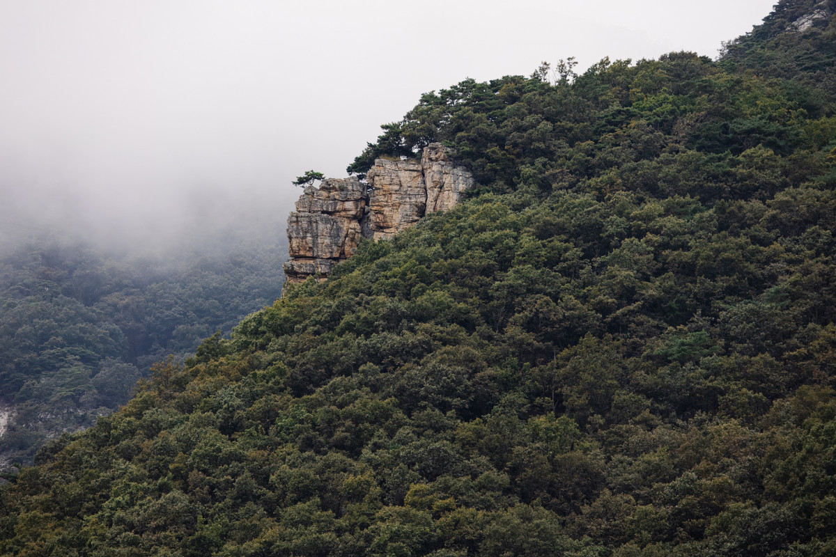 korea2024LRexport-33