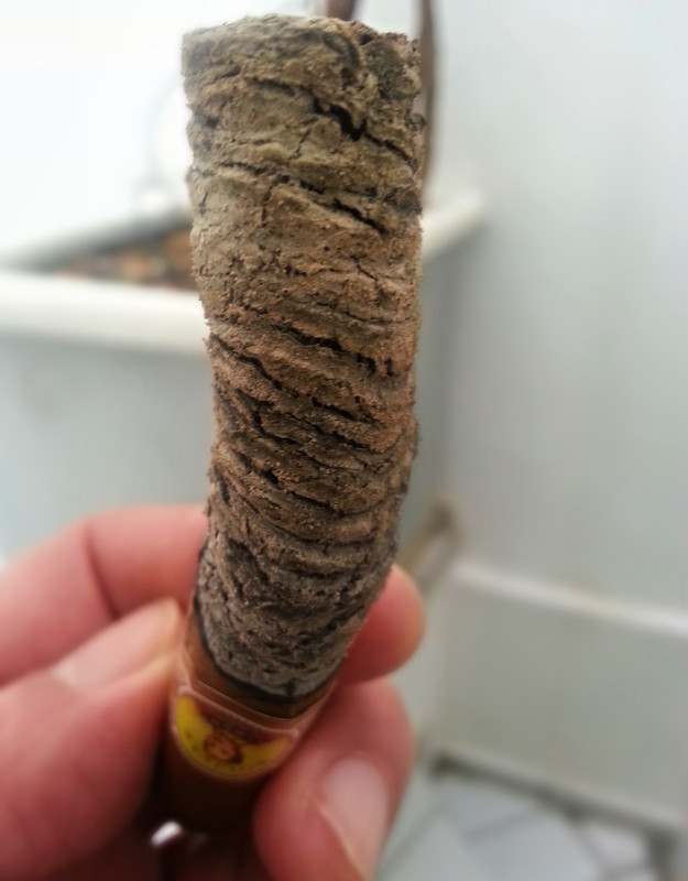 long ash