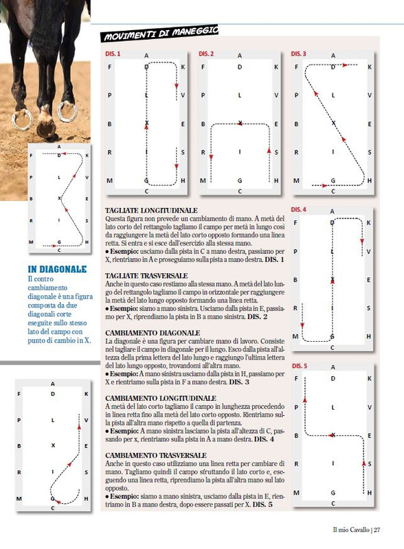 Il Mio Cav (Mag-Giu 2024) 12