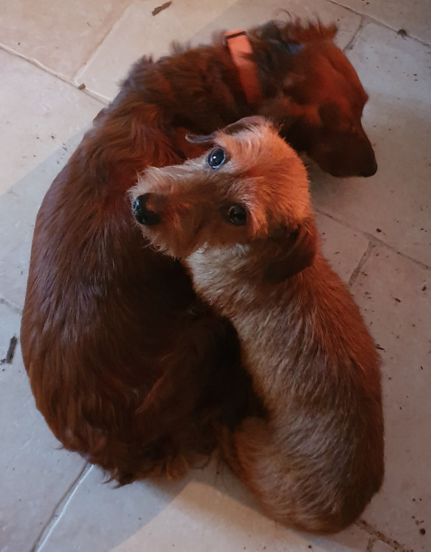 [Image: 20210114-072654.jpg]