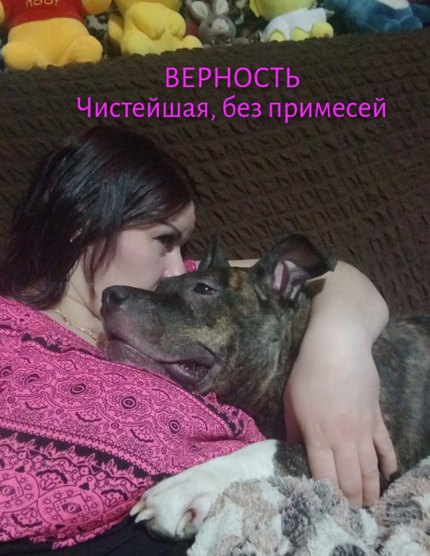 465D631B-B2F7-4A67-AFD5-86CF1CEF7BF1